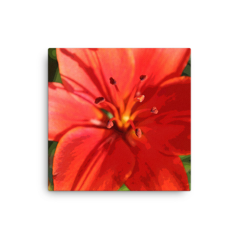 Canvas red orange lily