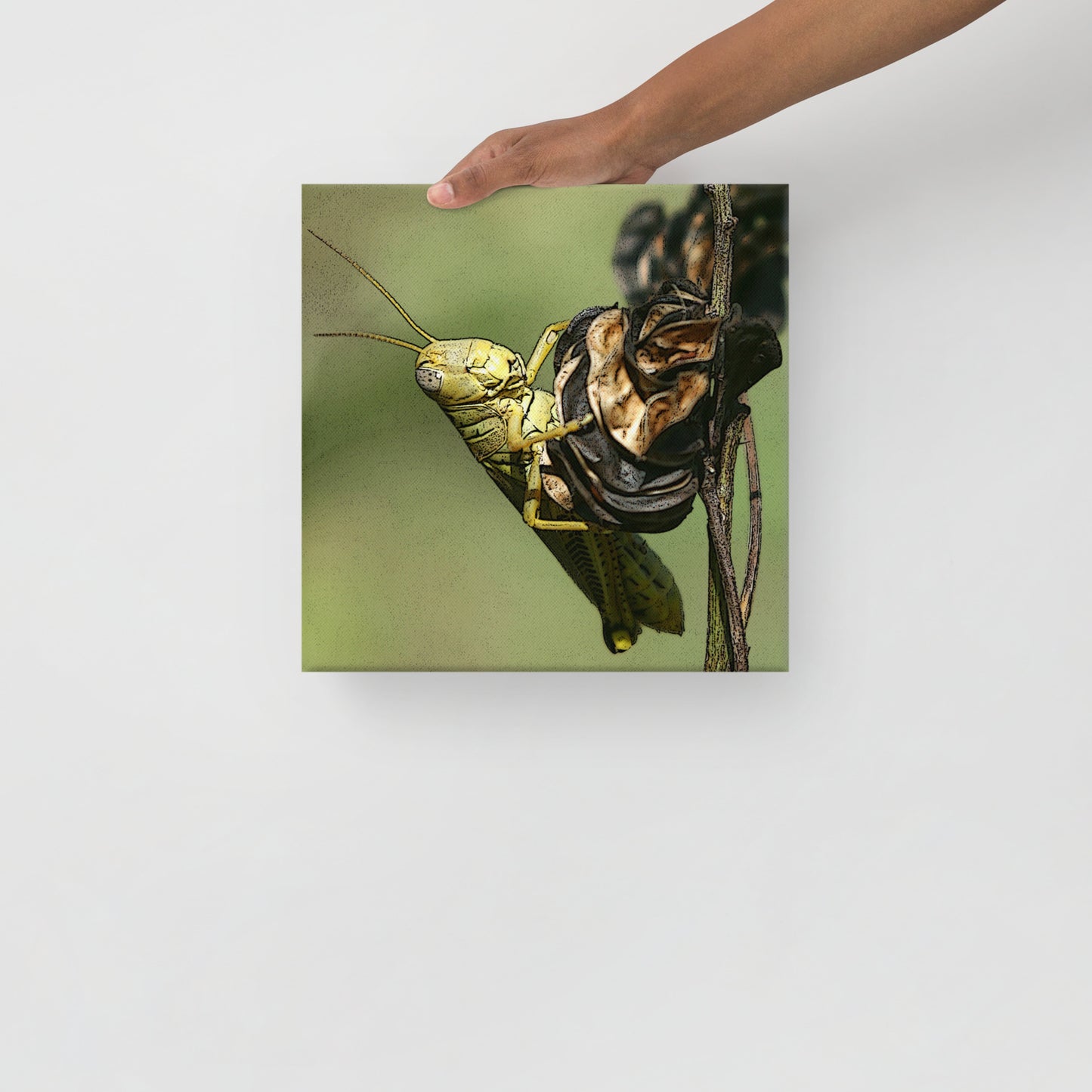 Canvas grasshopper