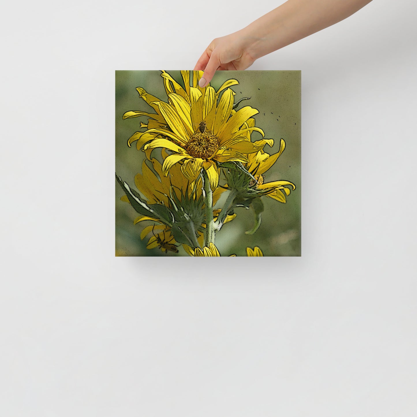 Canvas sunflower