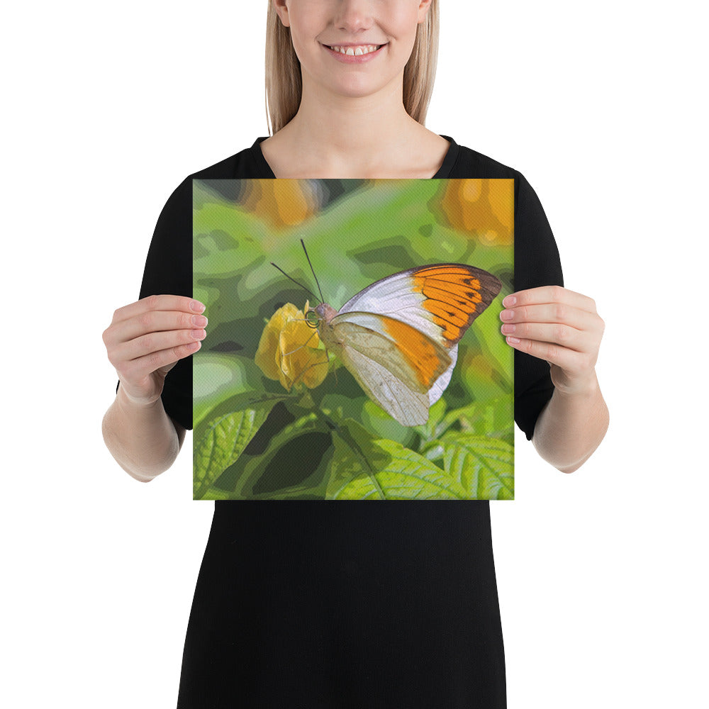 Canvas orange white butterfly