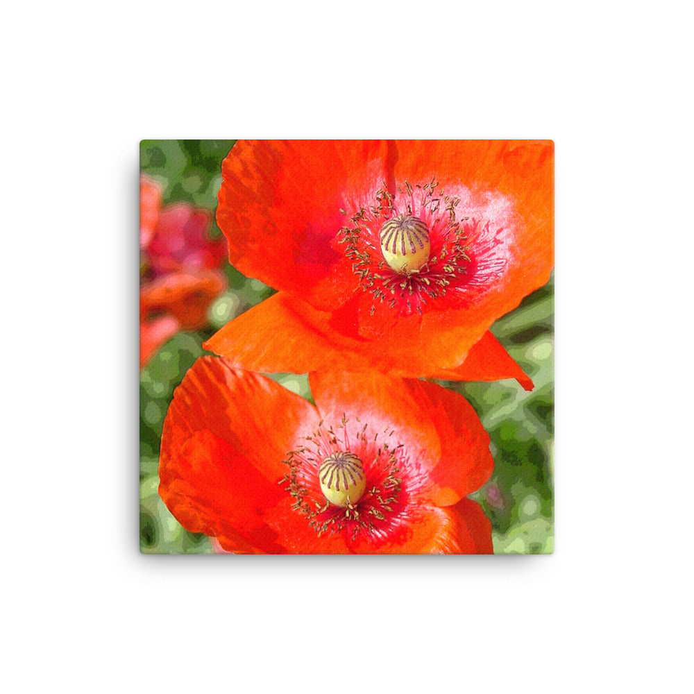 Canvas poppies