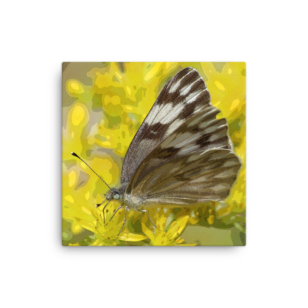 Canvas butterfly yellow flower