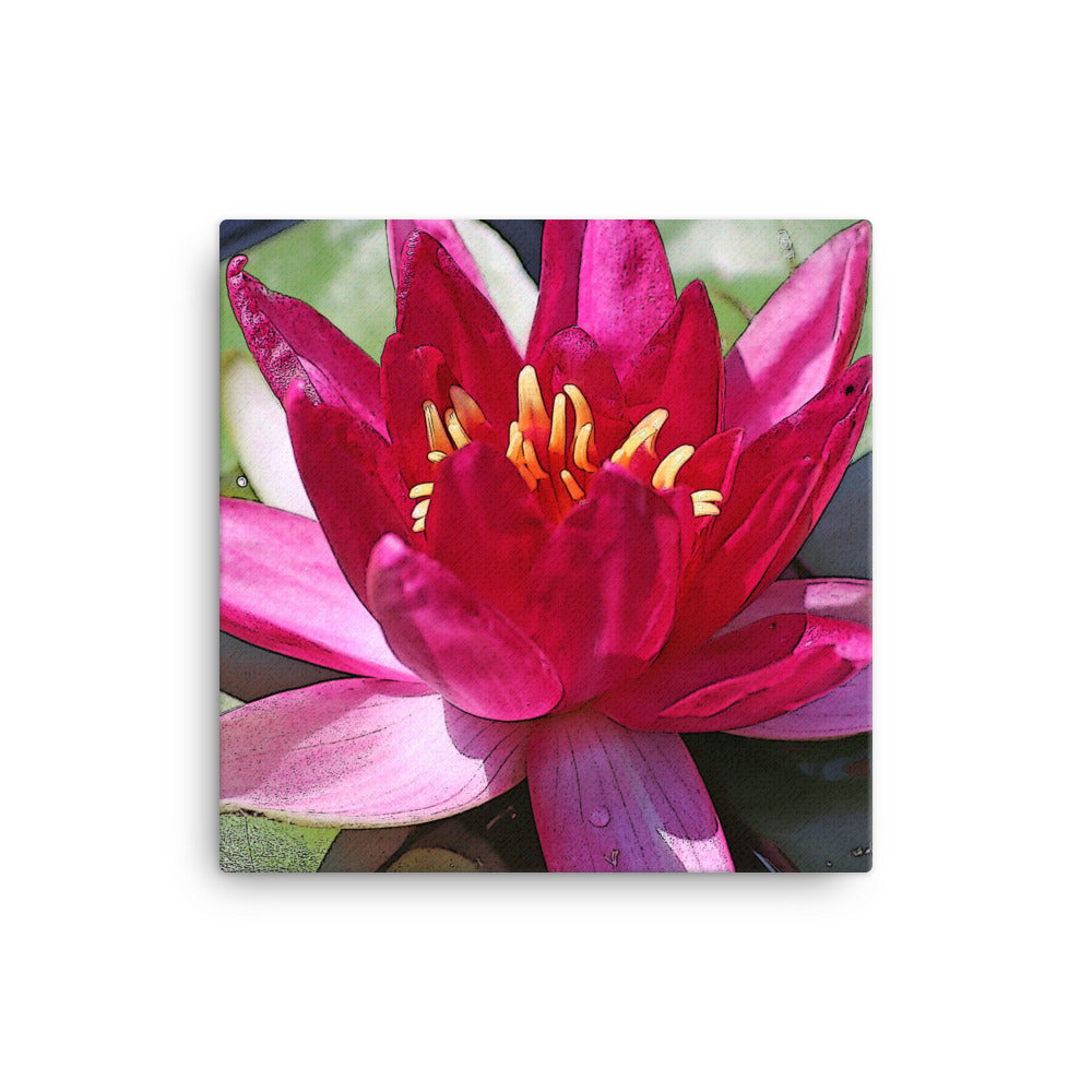 Canvas pink water lily