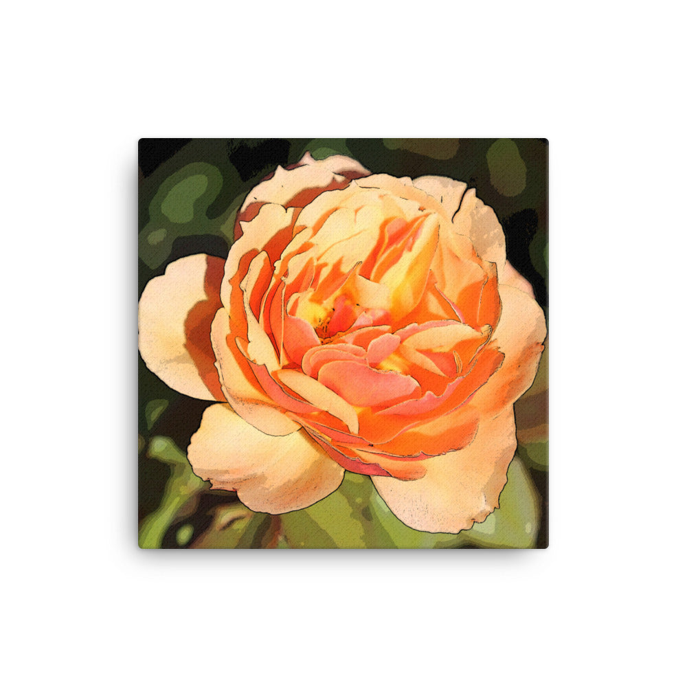 Canvas peach rose