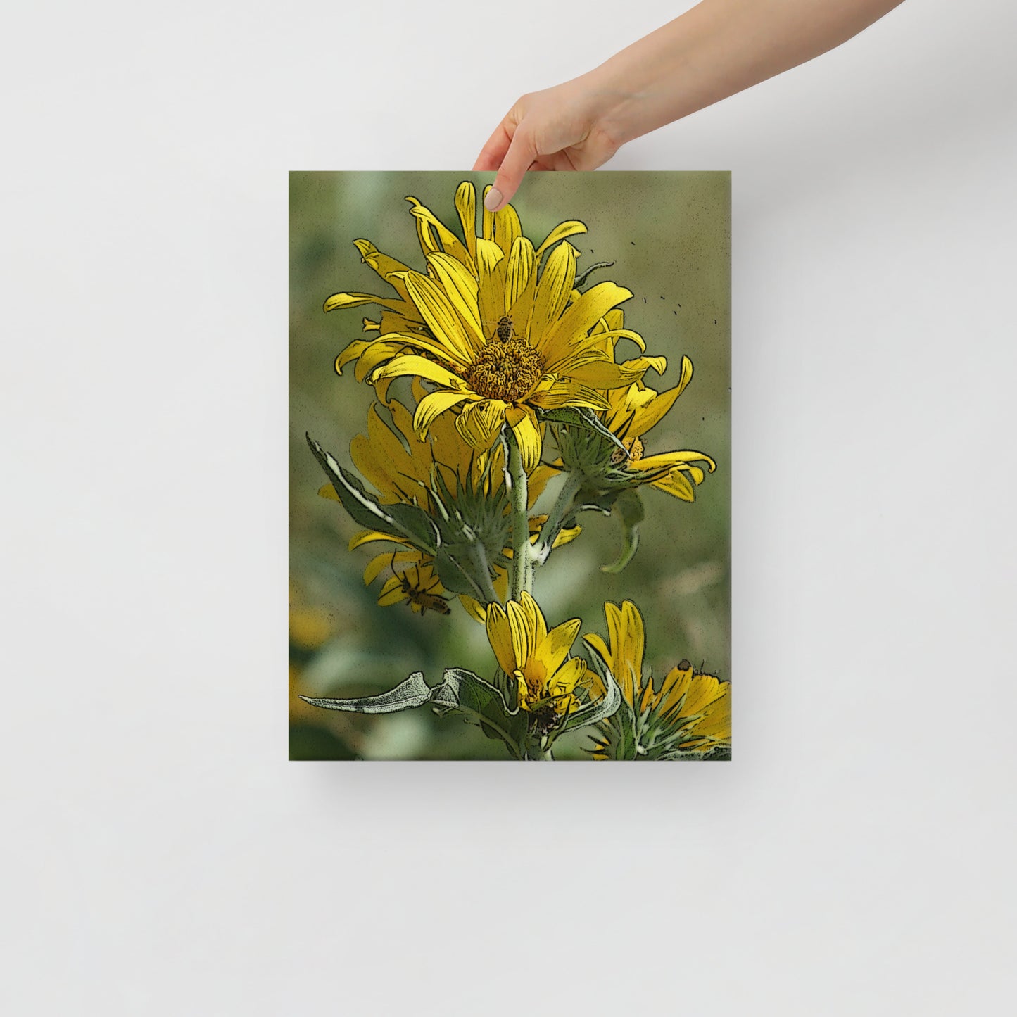 Canvas sunflower