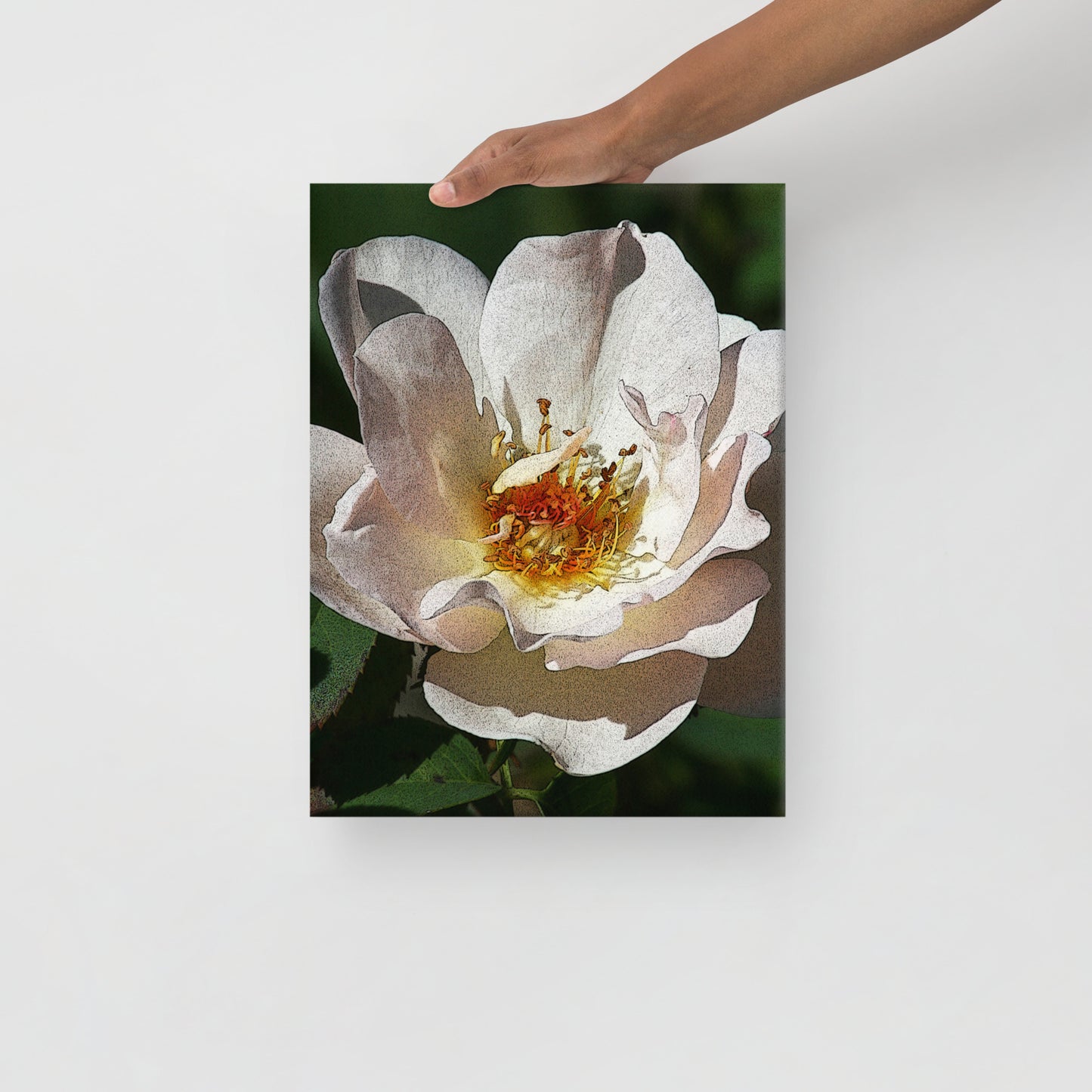 Canvas white flower