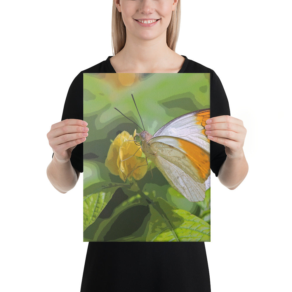 Canvas orange white butterfly