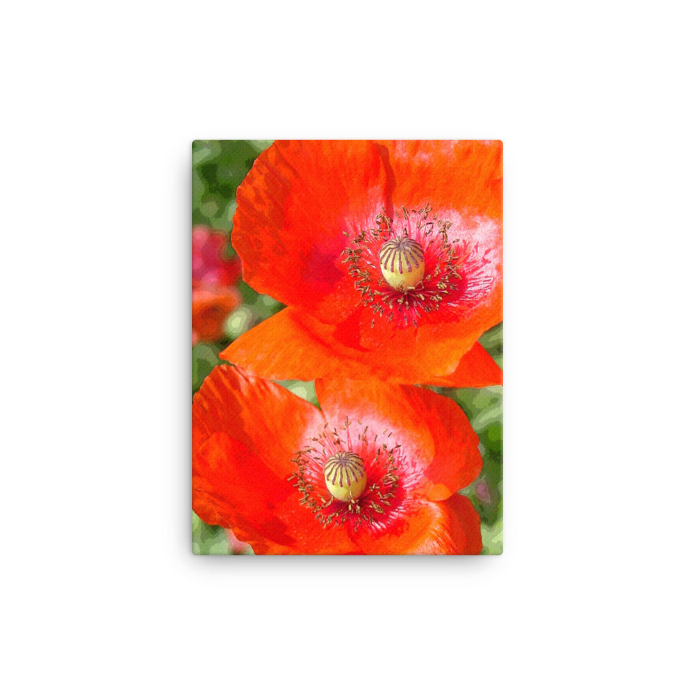 Canvas poppies