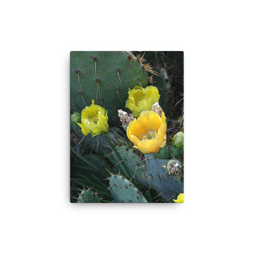 Canvas yellow cactus