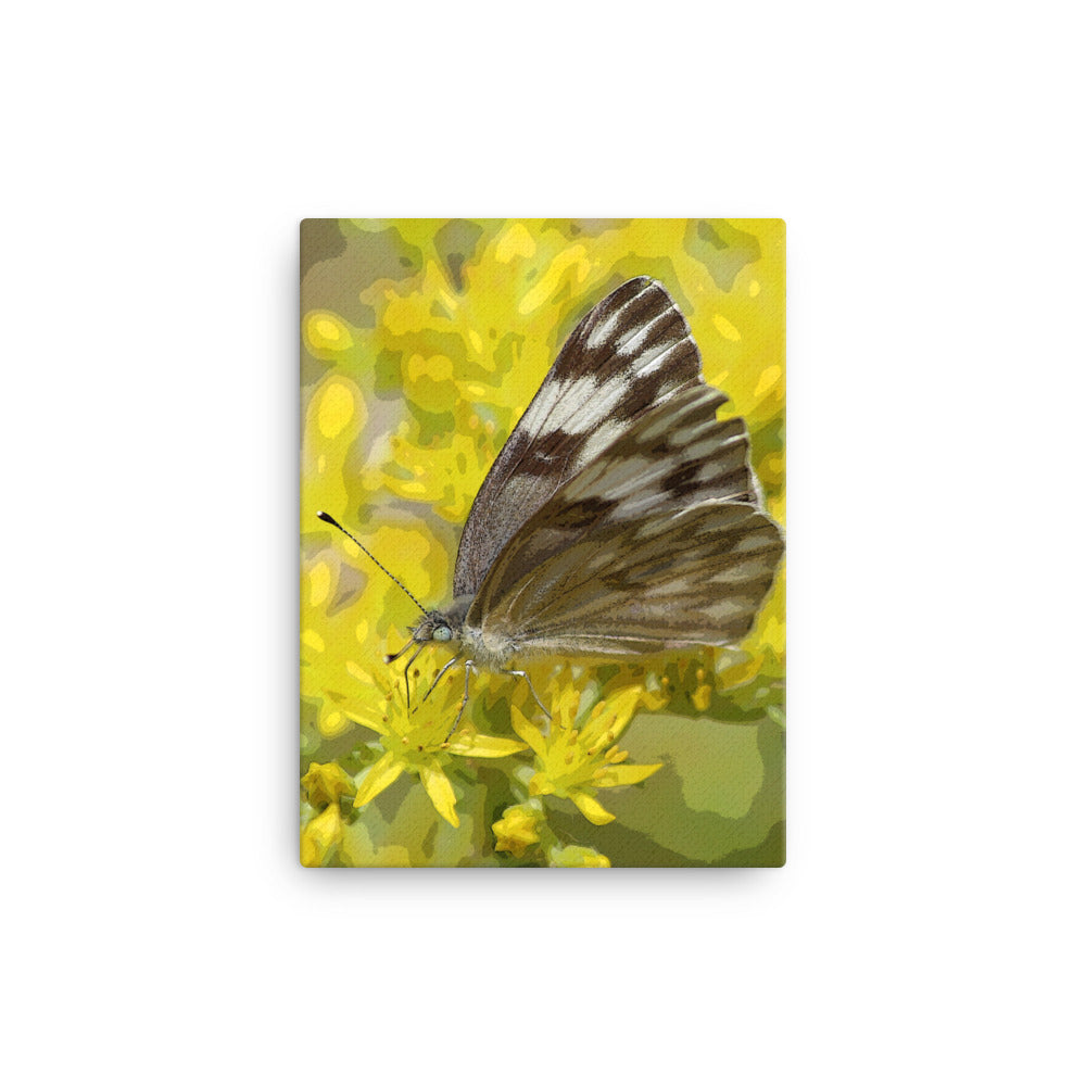 Canvas butterfly yellow flower