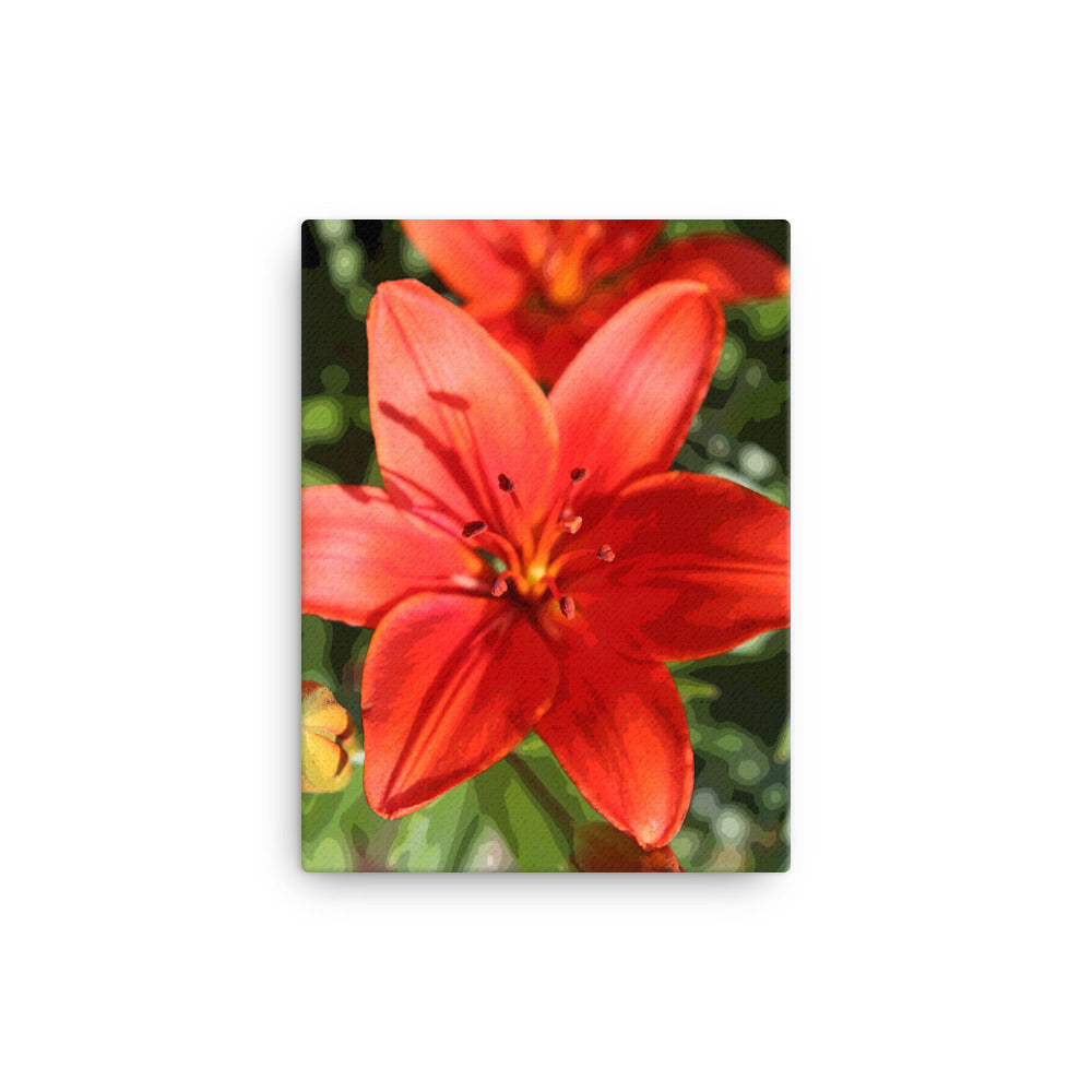 Canvas red orange lily