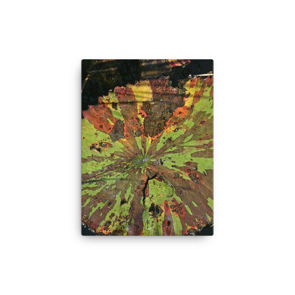 Canvas multi colored lily pads