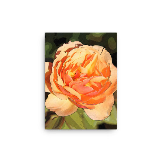 Canvas peach rose