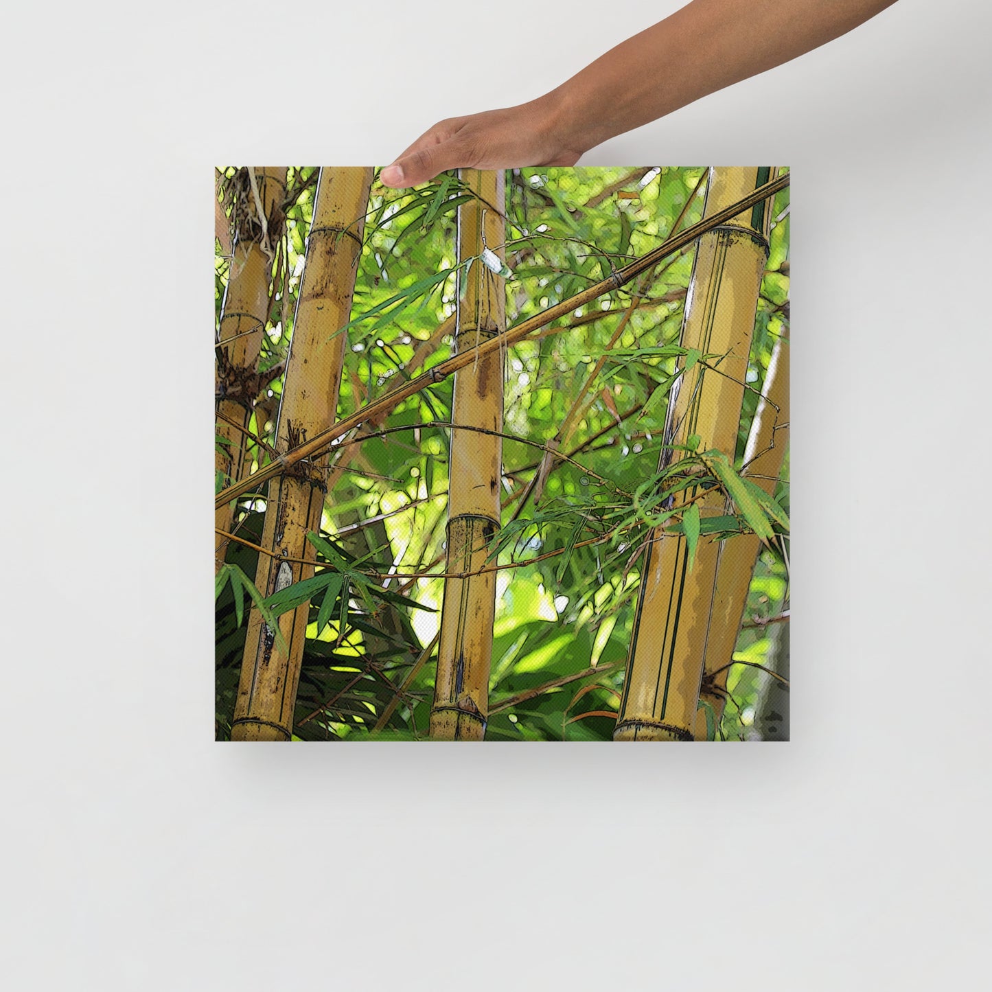 Canvas bamboo