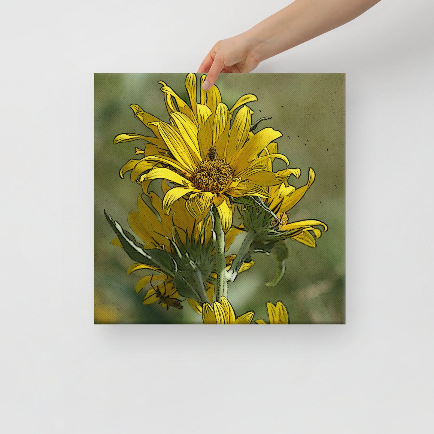 Canvas sunflower