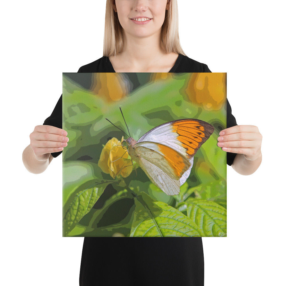 Canvas orange white butterfly