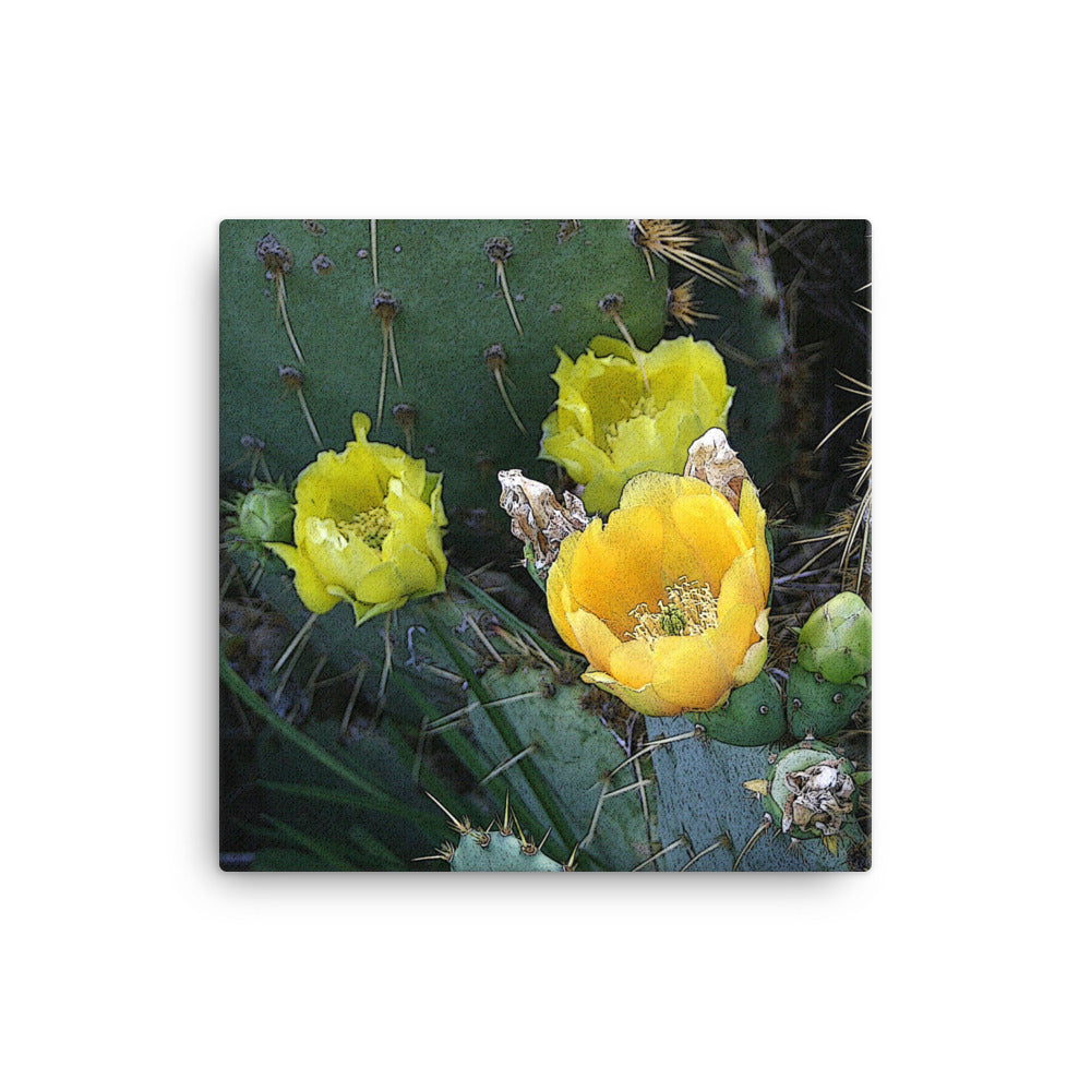 Canvas yellow cactus