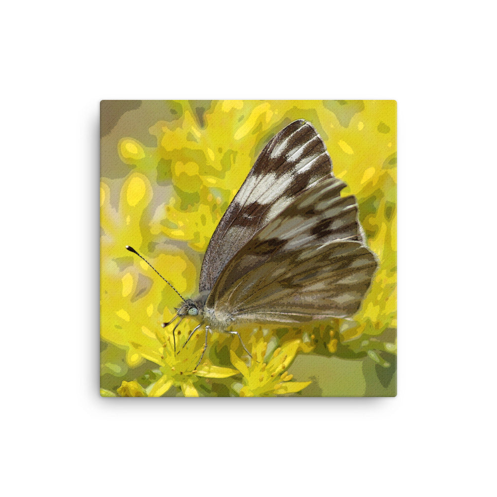 Canvas butterfly yellow flower