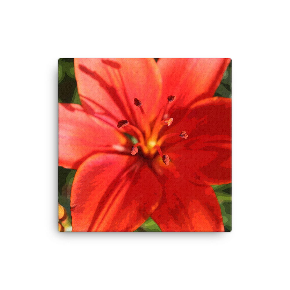 Canvas red orange lily