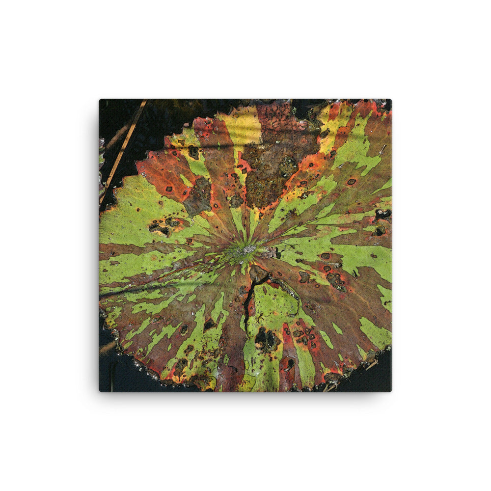 Canvas multi colored lily pads