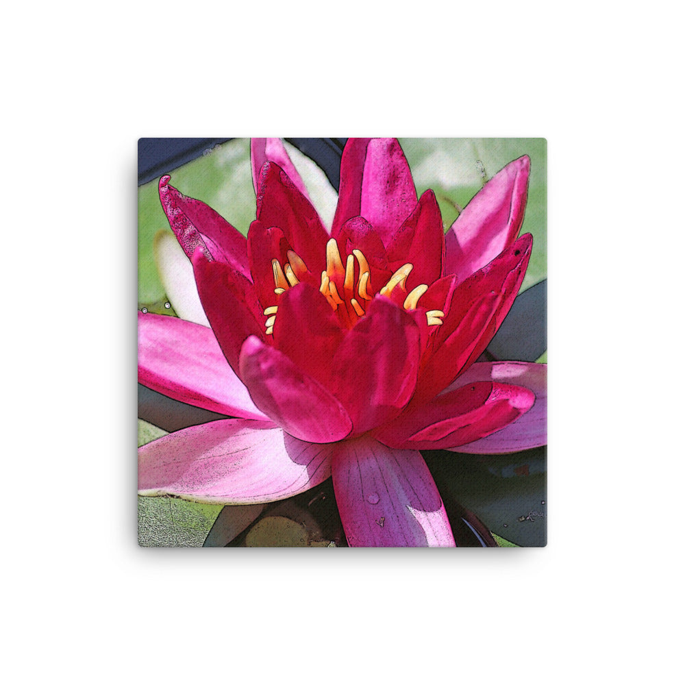 Canvas pink water lily