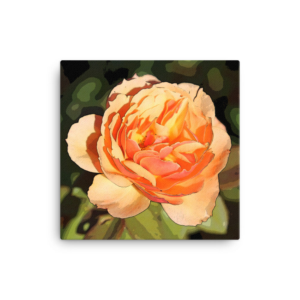 Canvas peach rose