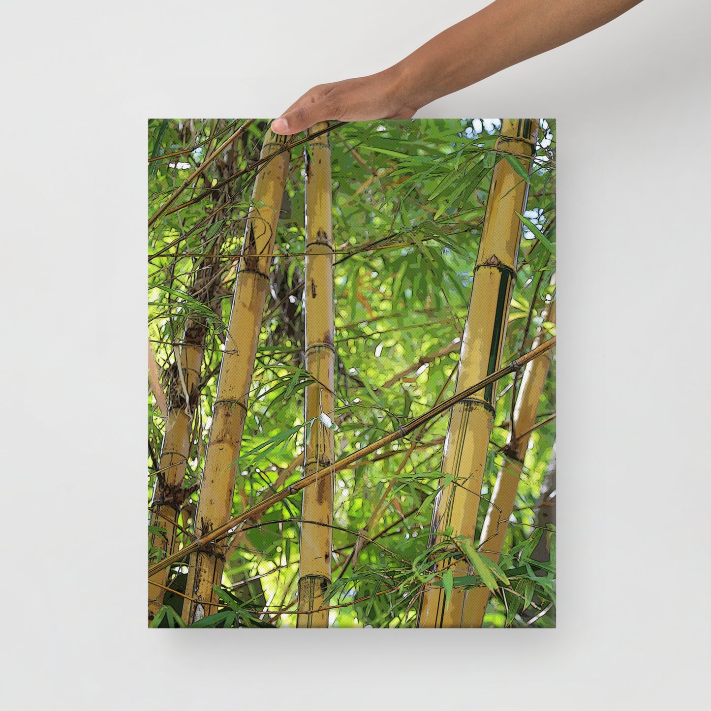 Canvas bamboo