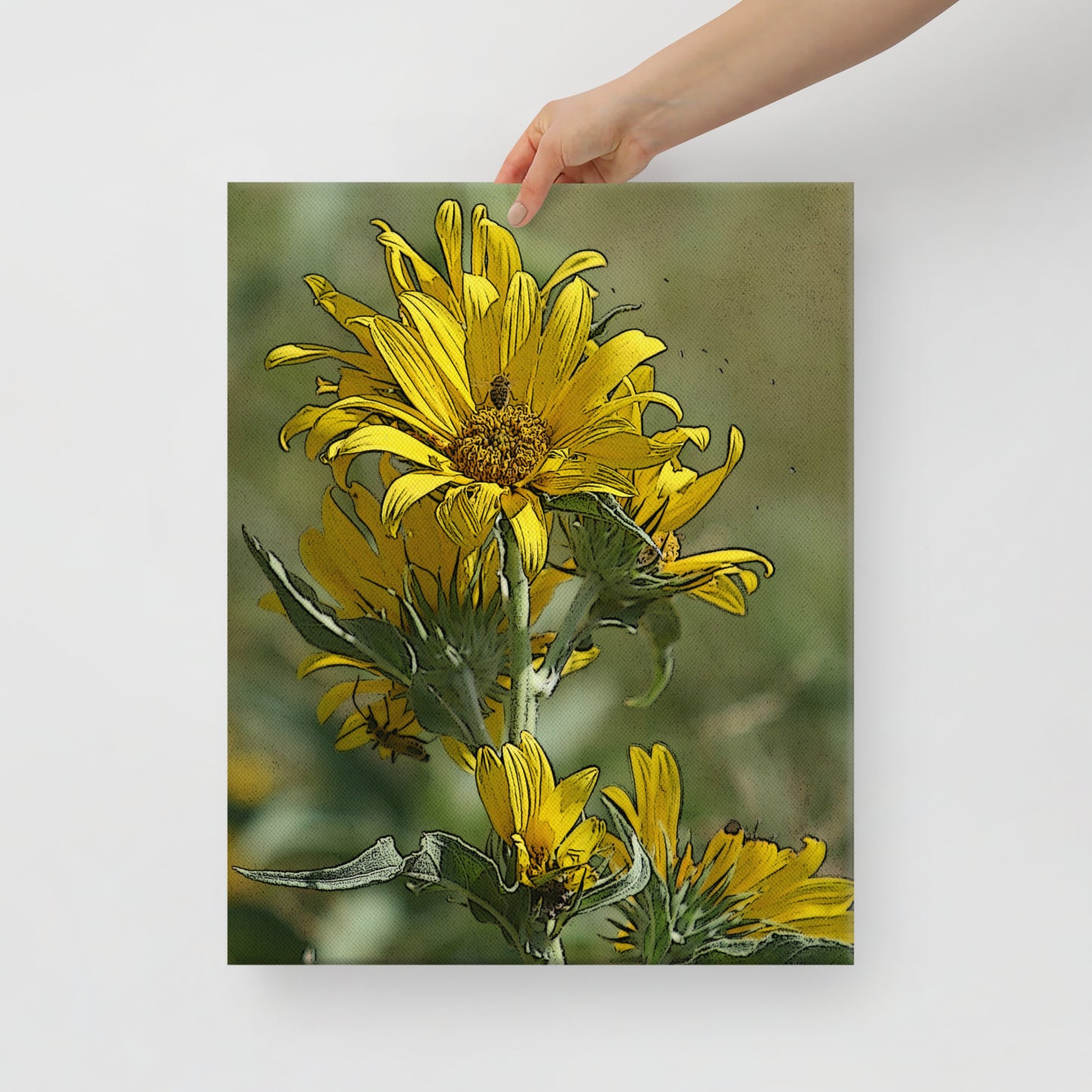 Canvas sunflower