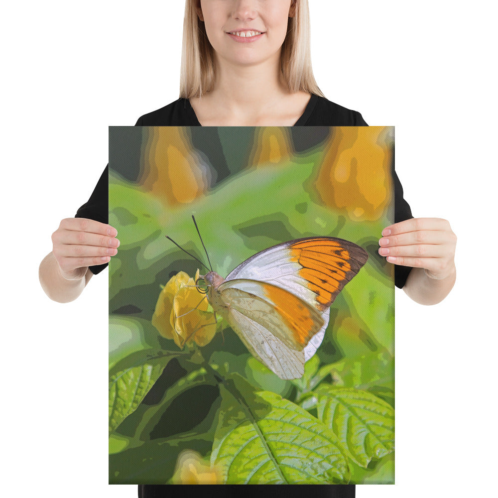 Canvas orange white butterfly