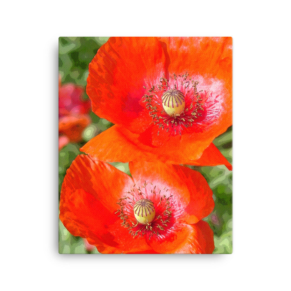 Canvas poppies