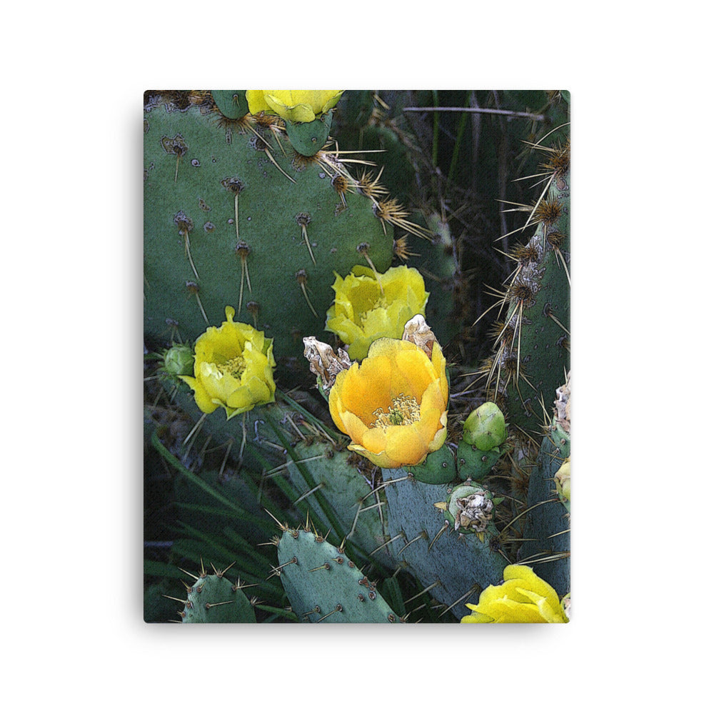 Canvas yellow cactus