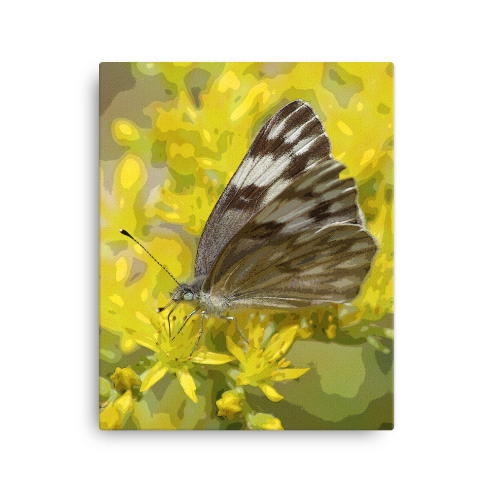 Canvas butterfly yellow flower