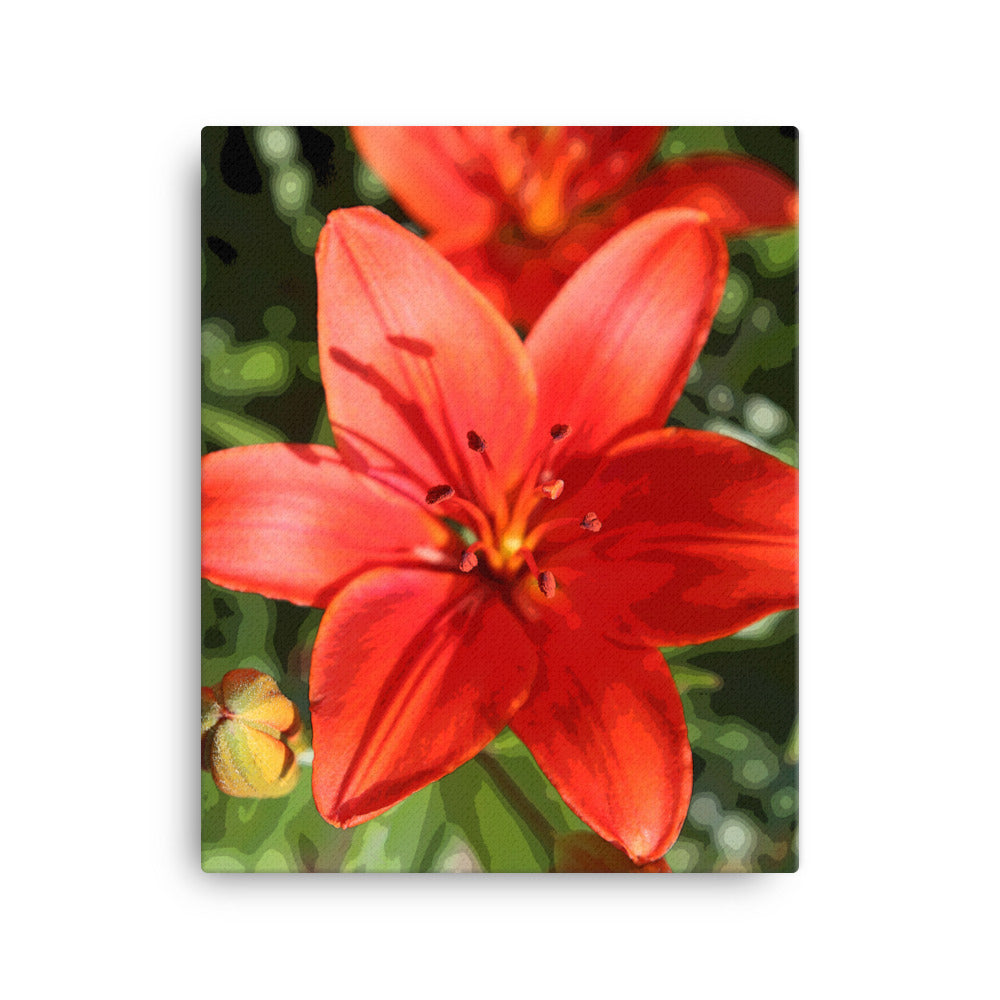 Canvas red orange lily