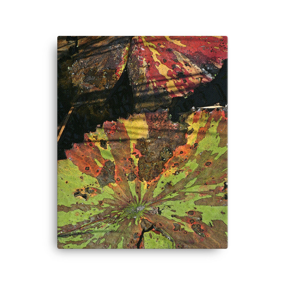 Canvas multi colored lily pads