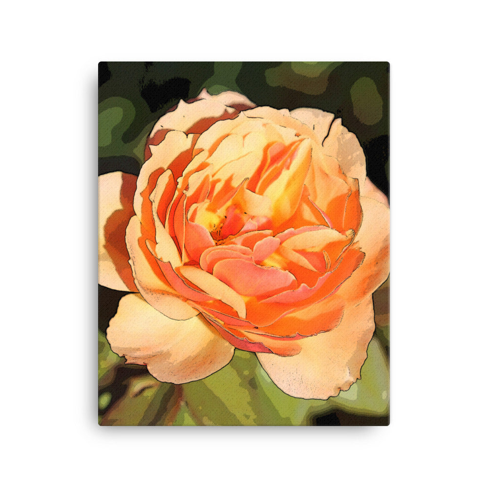 Canvas peach rose