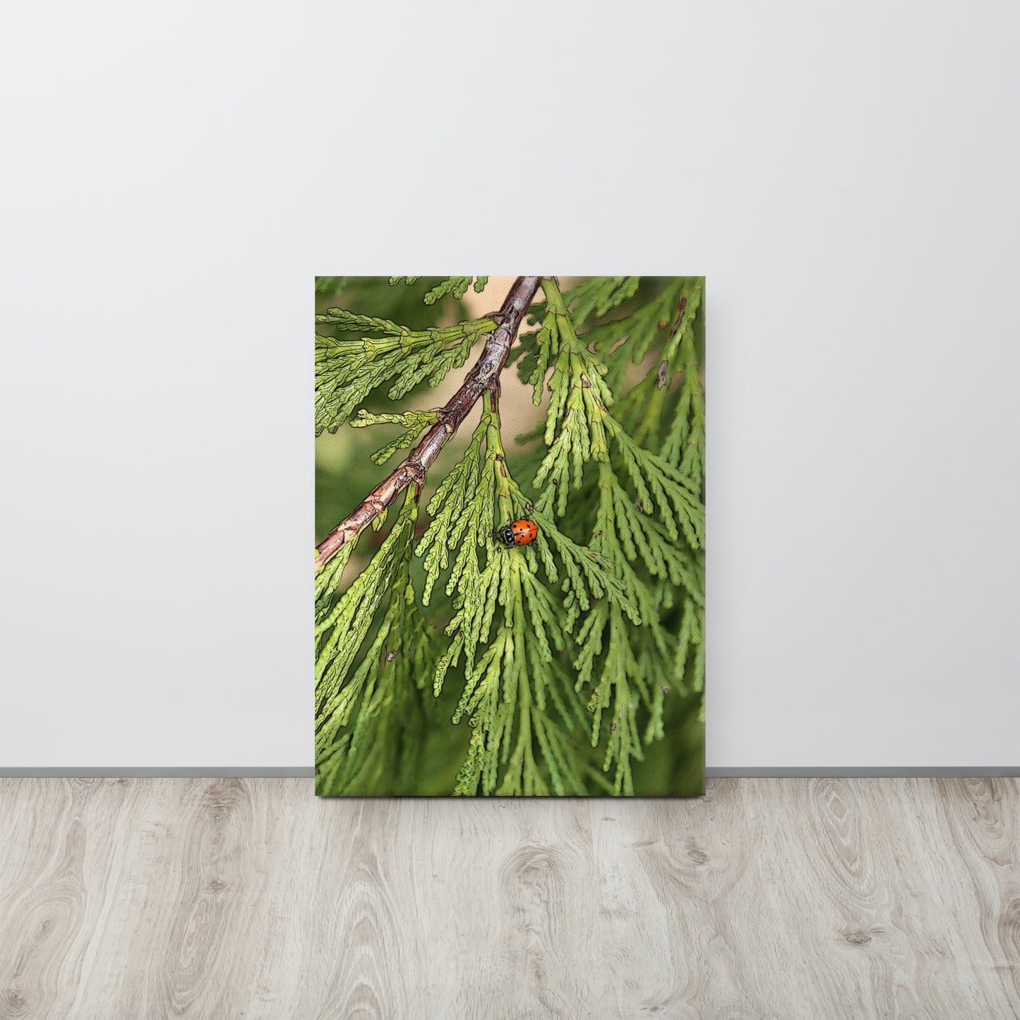 Canvas lady bug 2