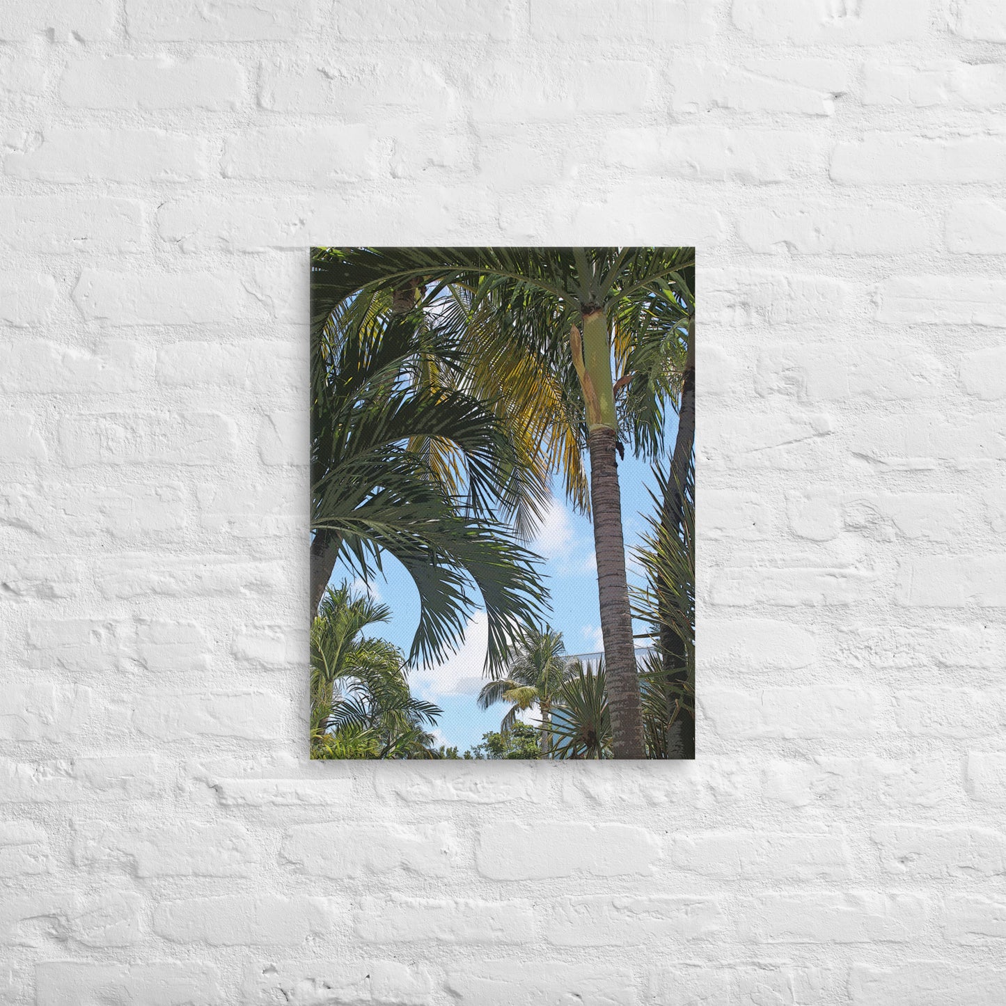 Canvas palm trees sky