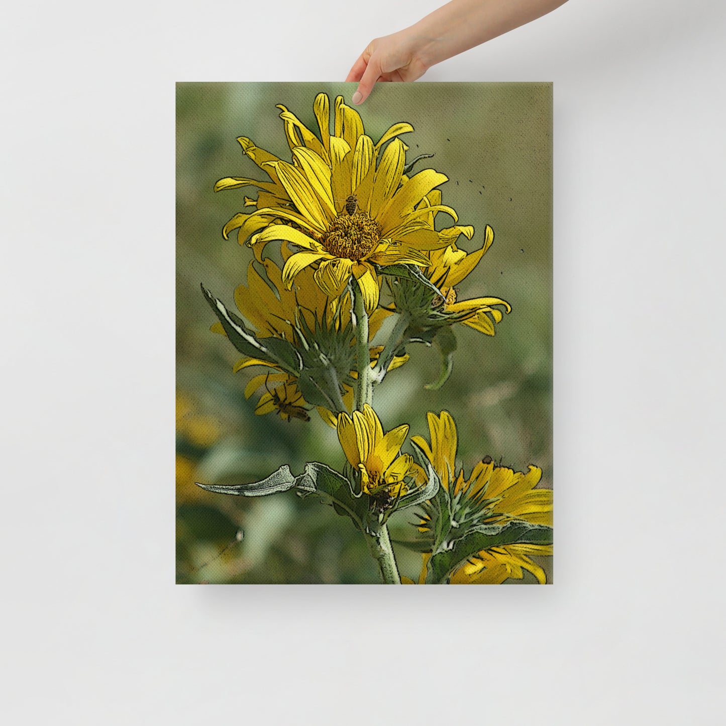 Canvas sunflower