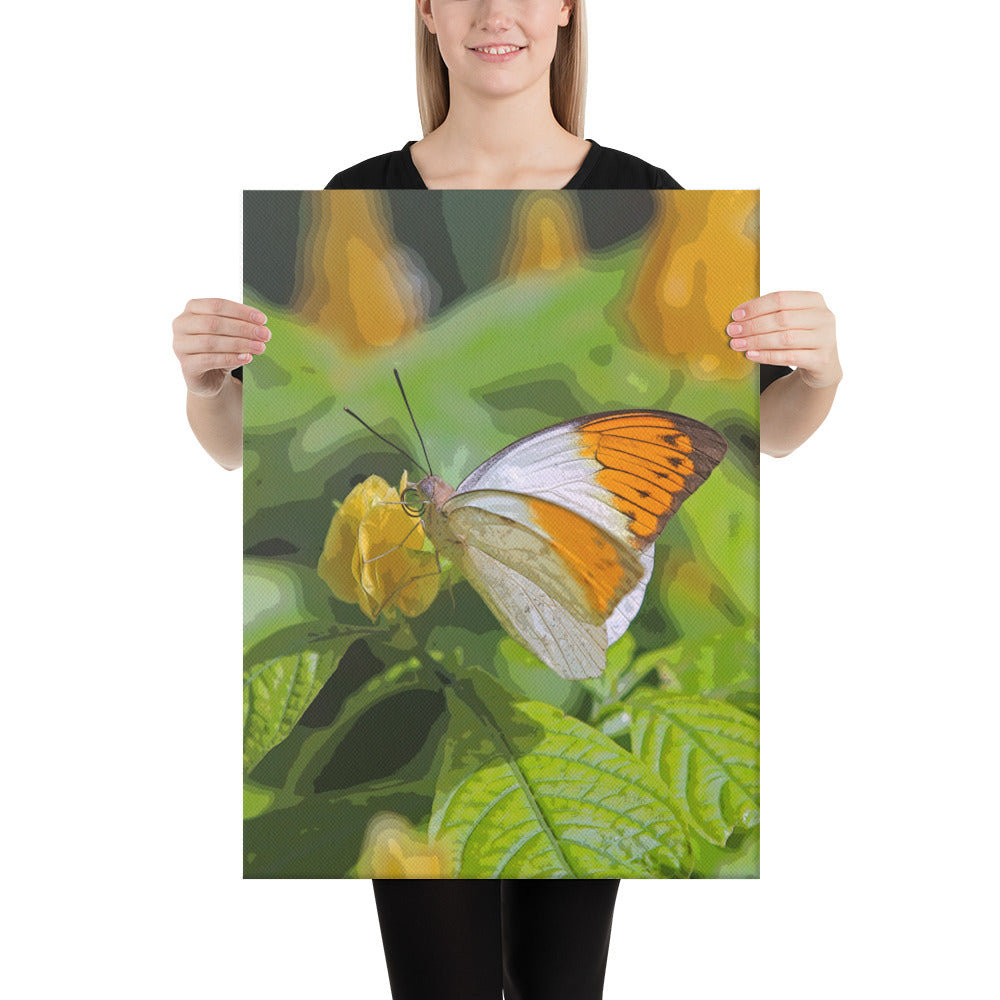 Canvas orange white butterfly