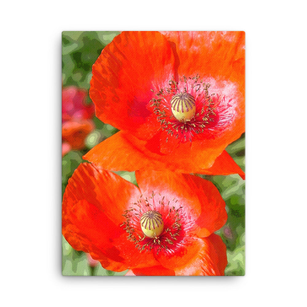 Canvas poppies