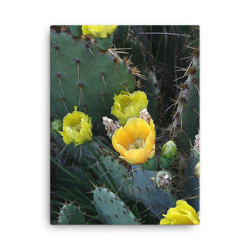 Canvas yellow cactus