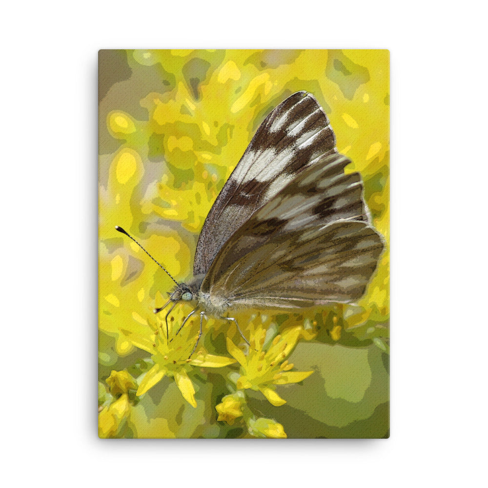 Canvas butterfly yellow flower