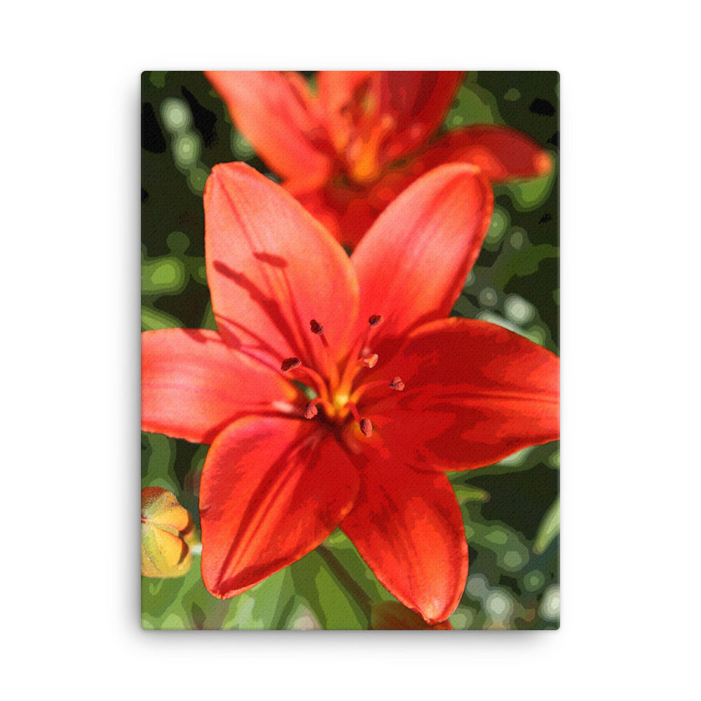 Canvas red orange lily