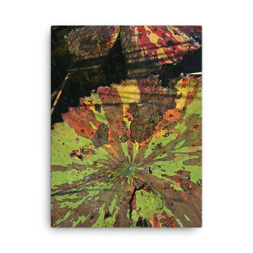 Canvas multi colored lily pads