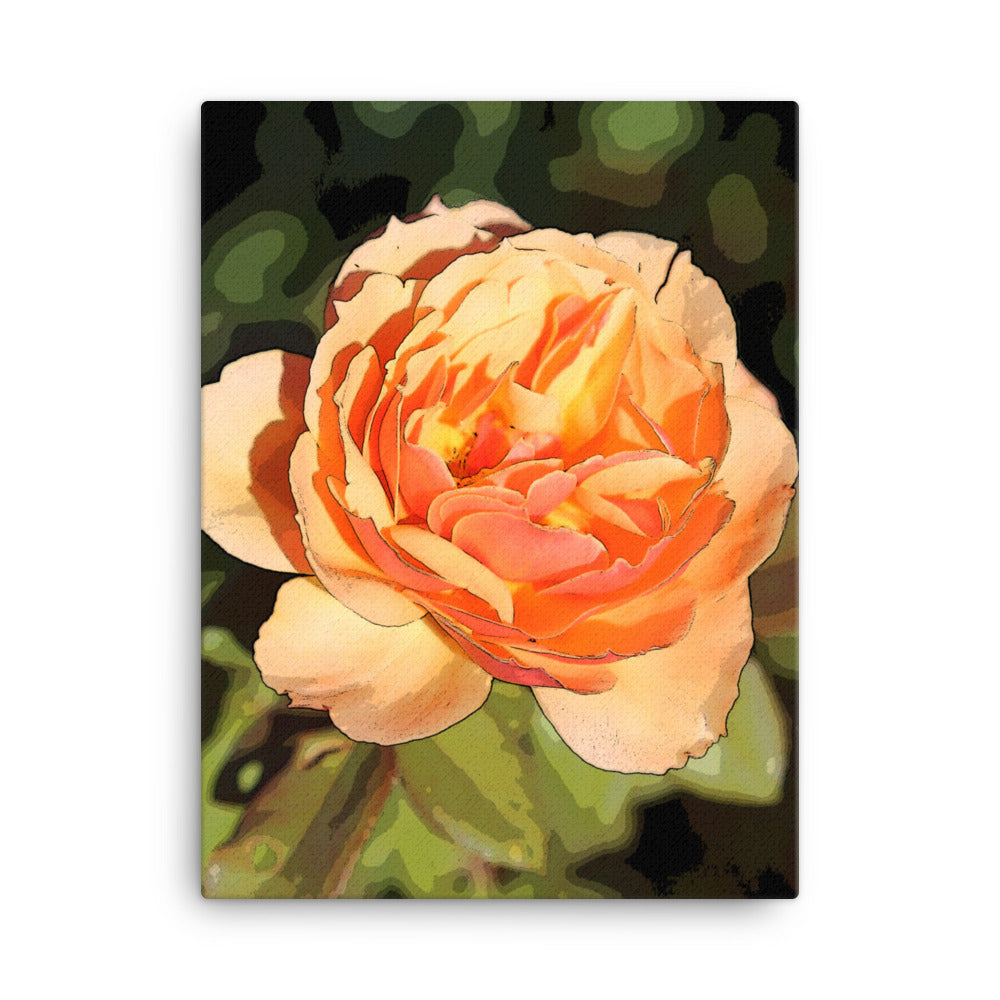 Canvas peach rose