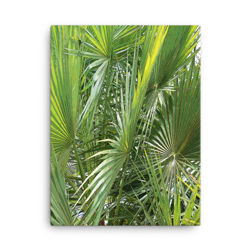 Canvas tropical leaves 1