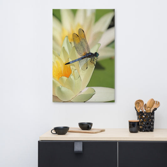 Canvas blue dragon fly