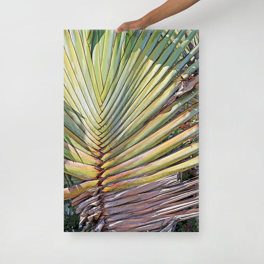 Canvas tropical plant 3