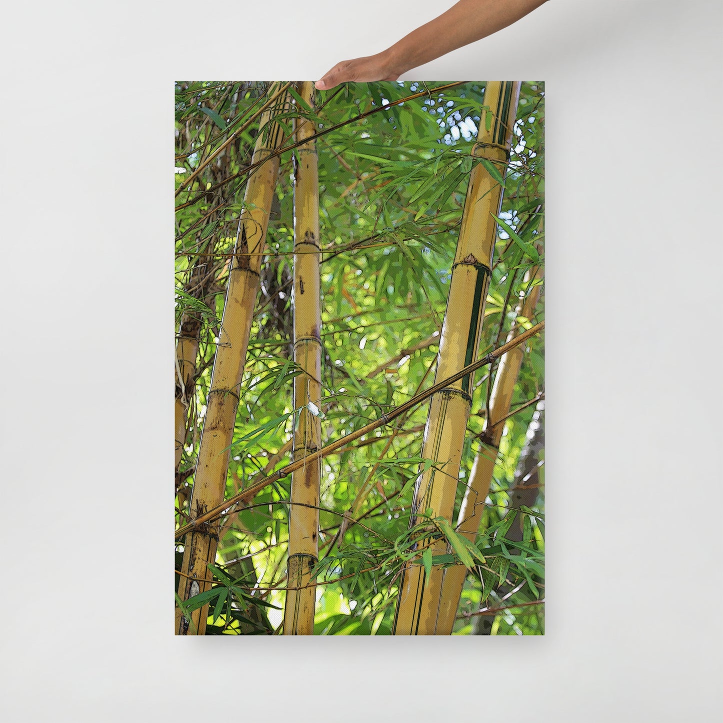 Canvas bamboo