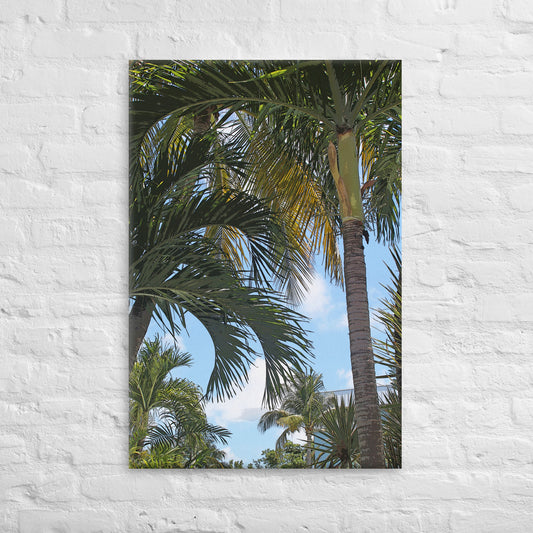 Canvas palm trees sky